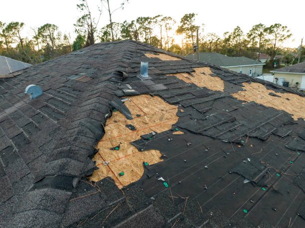 Best Roof Leak Repair  in Okeechobee, FL