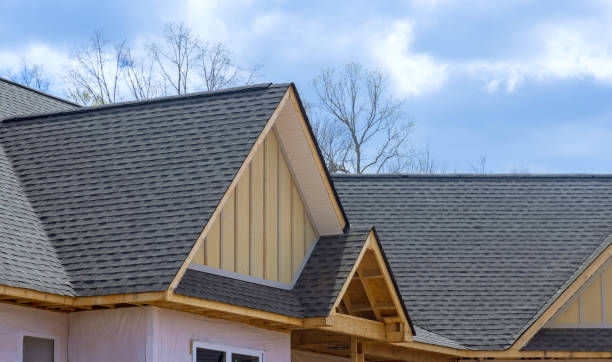 Best Roof Maintenance and Cleaning  in Okeechobee, FL