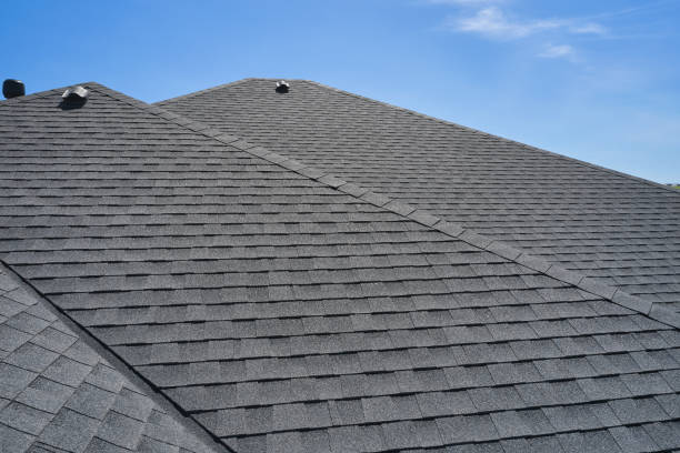Best Metal Roofing Installation  in Okeechobee, FL