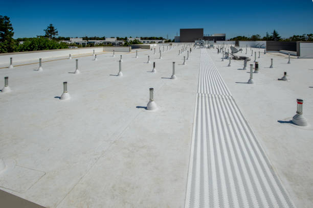 Best Roof Waterproofing  in Okeechobee, FL